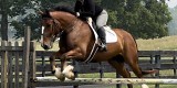 5758 - Hudson