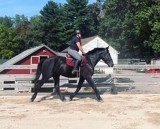 5818 - Tristen