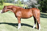 5825 - Spirit