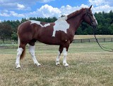5845 - Frederick