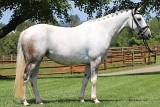 5861 - Leedaun Lane aka Belle
