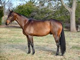 5868 - Mims Second Chance