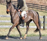 5874 - Bailey